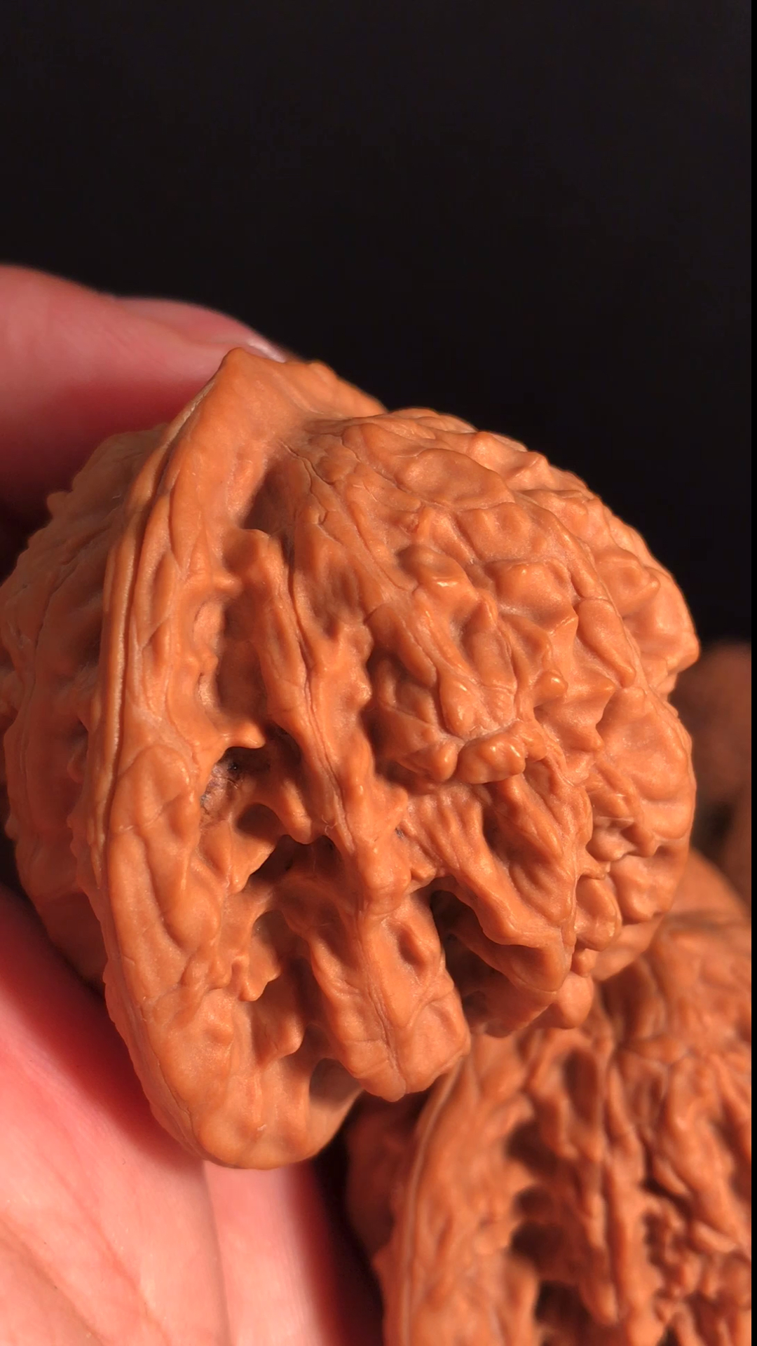 文玩核桃#野蟾王