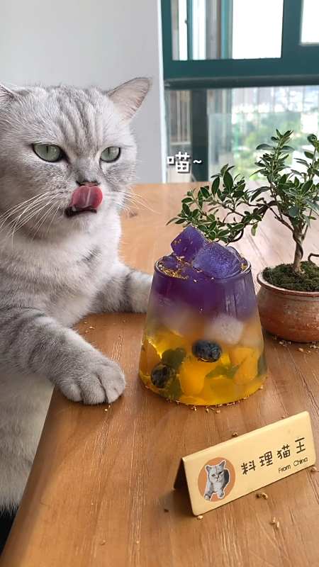 2020-11-20 13举报 料理猫王