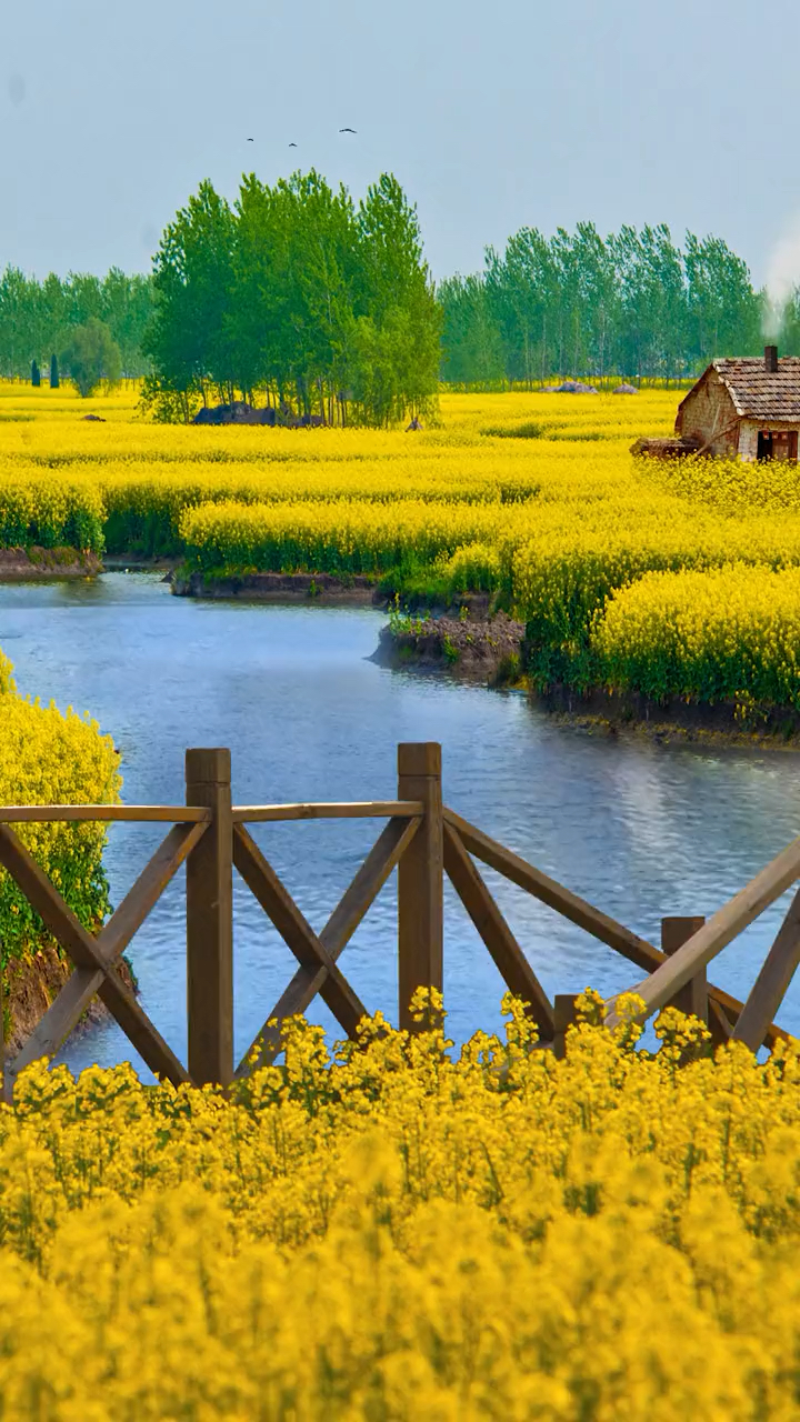 这是一年中最美的季节,泥土的清香和油菜花的香味弥漫于群山沟渠,那是