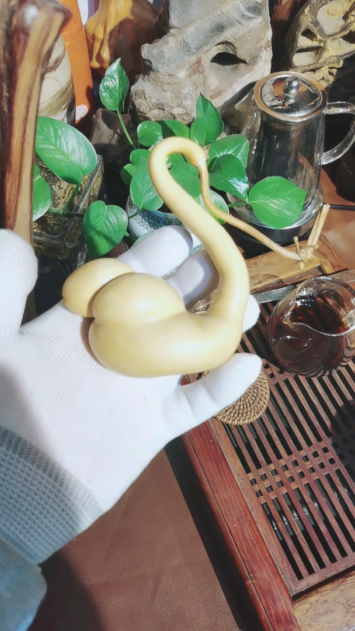 小精品天鹅葫芦,老铁们共赏!