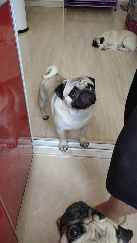 台面小的可以直接挂墙上9turkeys怎么读20胡絜青为何不让老舍回家20