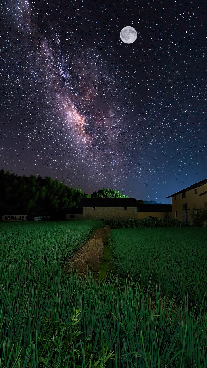 我在星空下思念你#目有所望,心有所想,但愿日子不愁,抬头满眼皆是