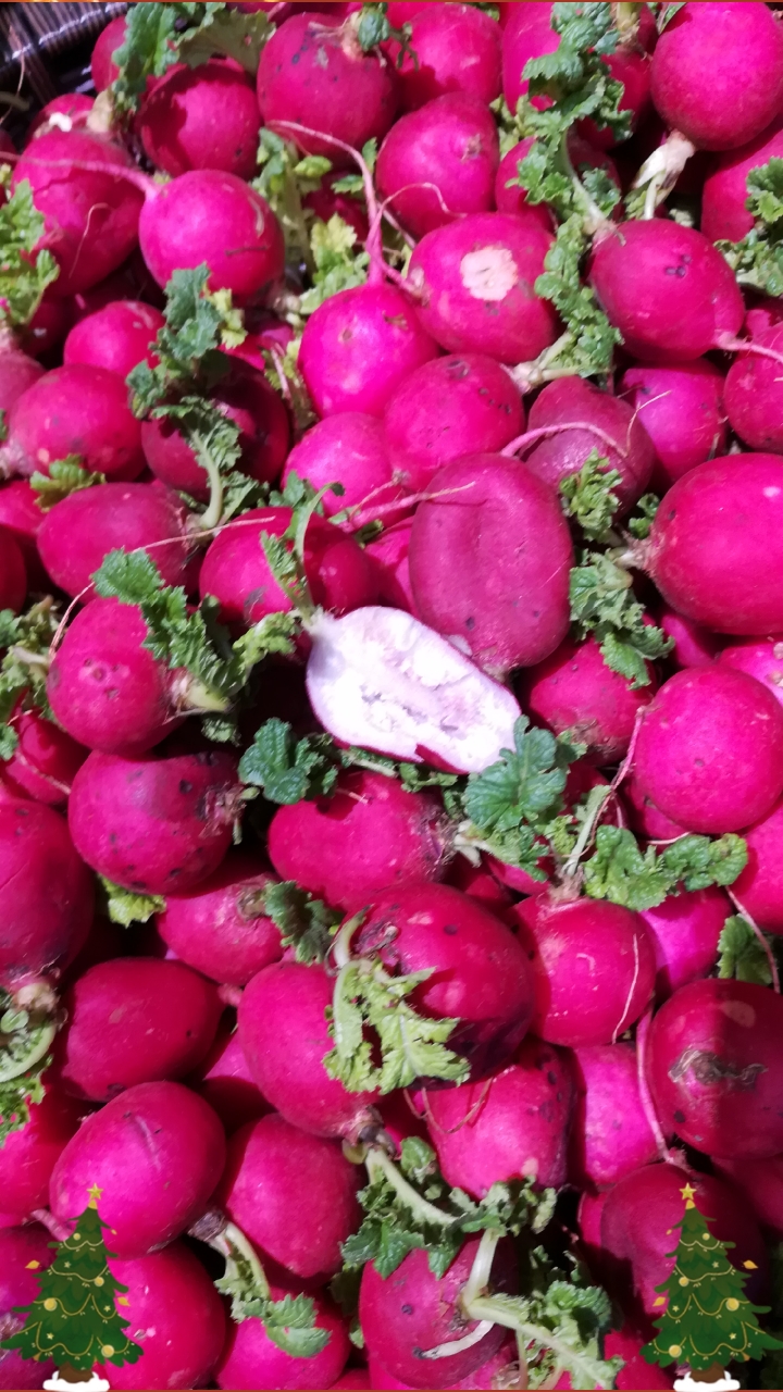 这就是传言中的花心萝卜吗