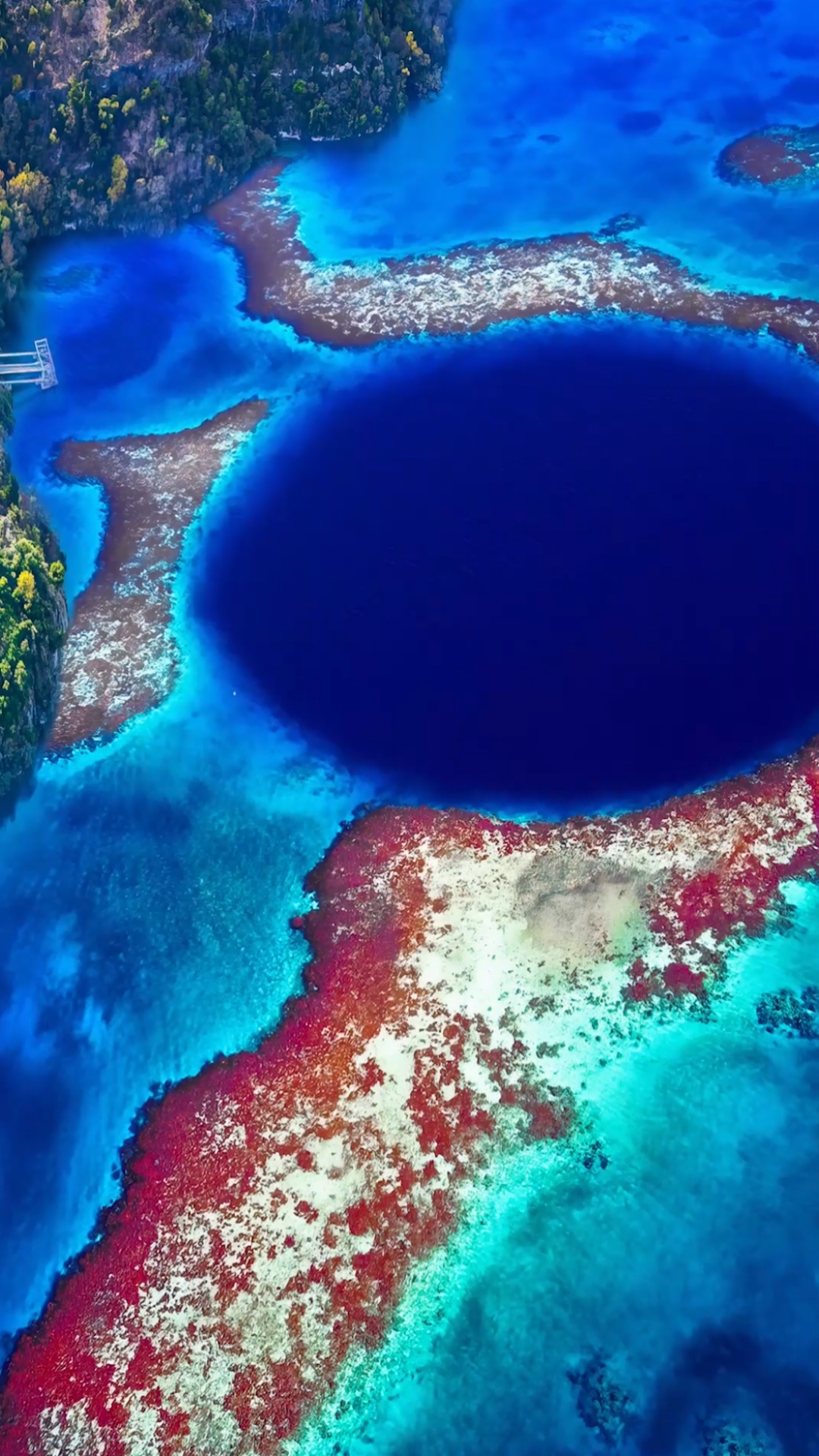 海洋#你在凝望深渊的时候,深渊也在凝望你