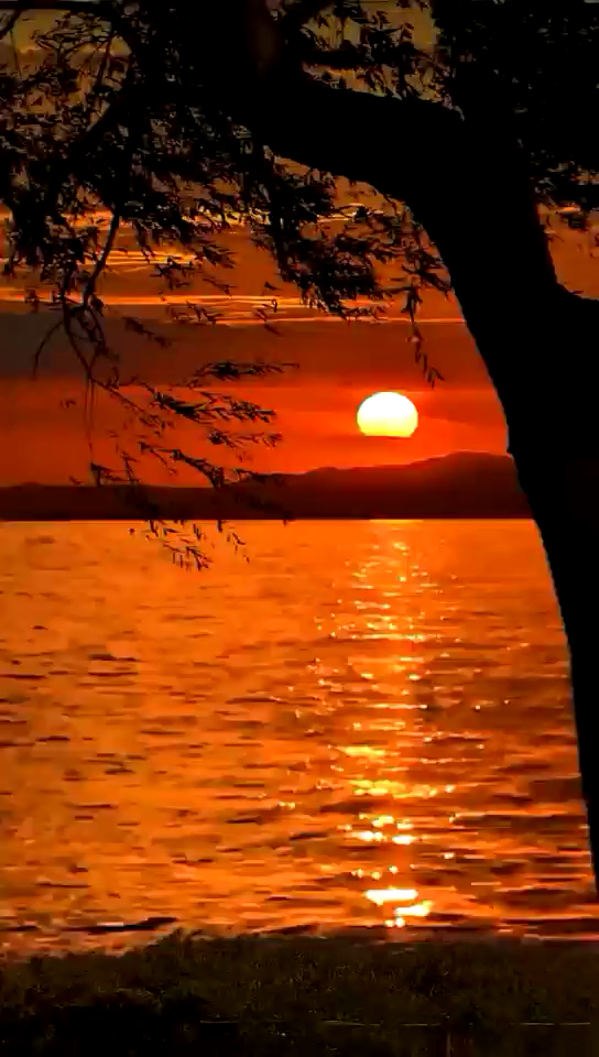 人生亦如昼夜:有月朗星稀,有朝霞升起,有红日当头,有夕阳西下.