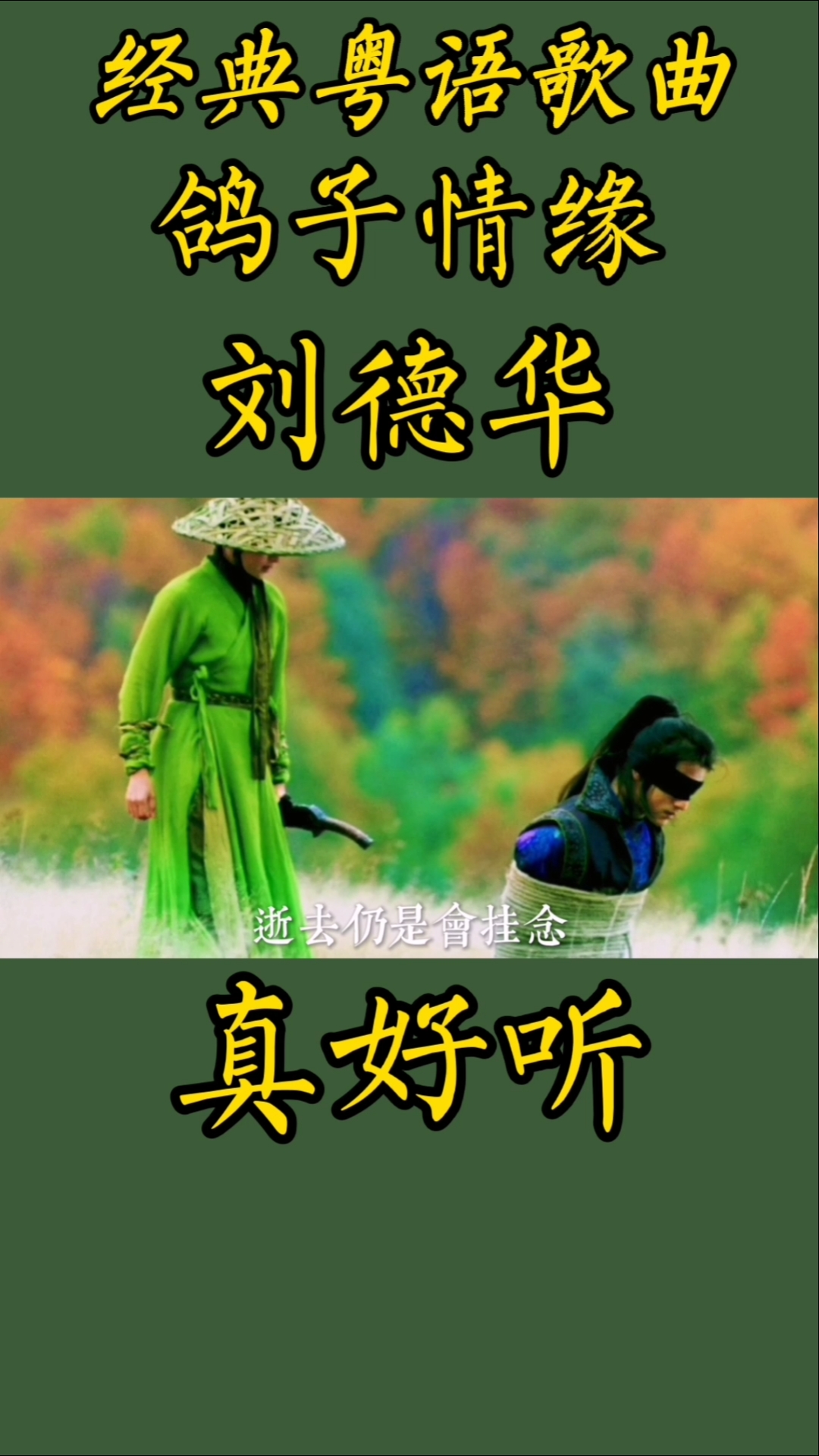 过好冬天##刘德华#粤语歌#鸽子情缘配上十面埋伏的精典画面,实在太