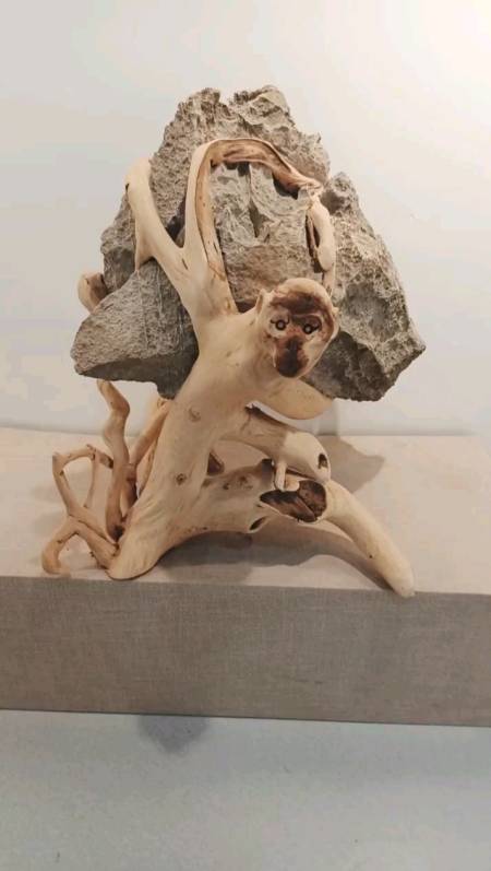 手工制作#这是一件根抱石的根雕:灵猴奋起泰山移,请朋友们双击评论.