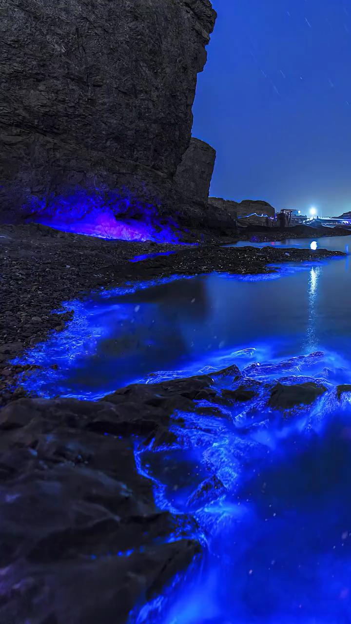 位于大连大黑石荧光海滩,大家都叫她为蓝眼泪!这个季节刚好能看到