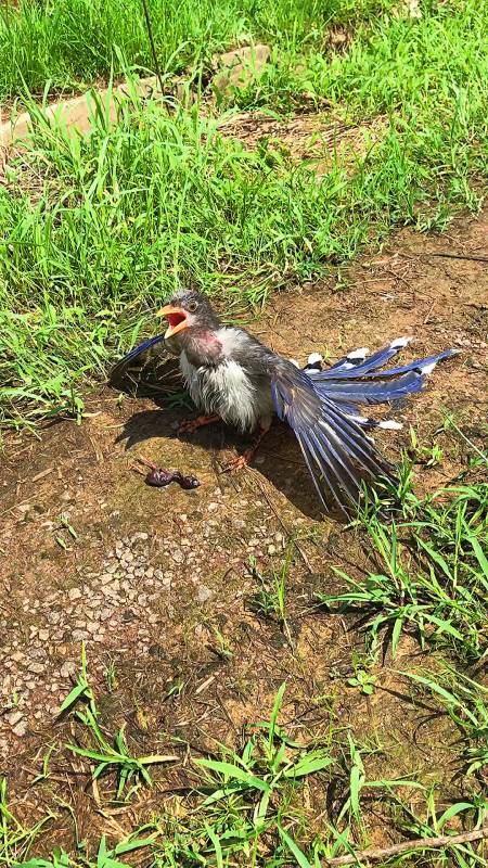 台面小的可以直接挂墙上9turkeys怎么读20胡絜青为何不让老舍回家19