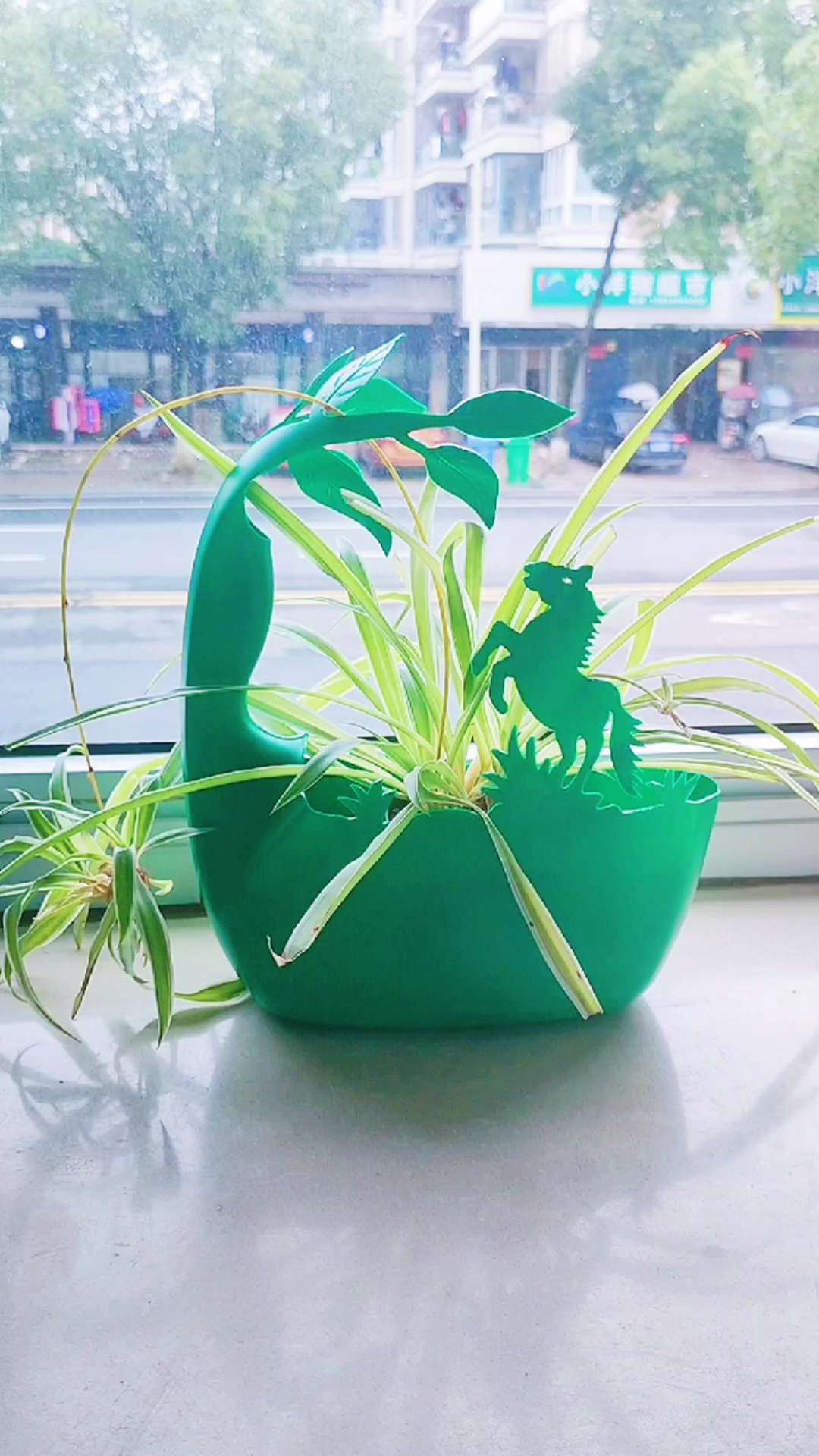 变废为宝#捡了个废瓶子,立马改造一下,这样的花盆你喜欢吗?