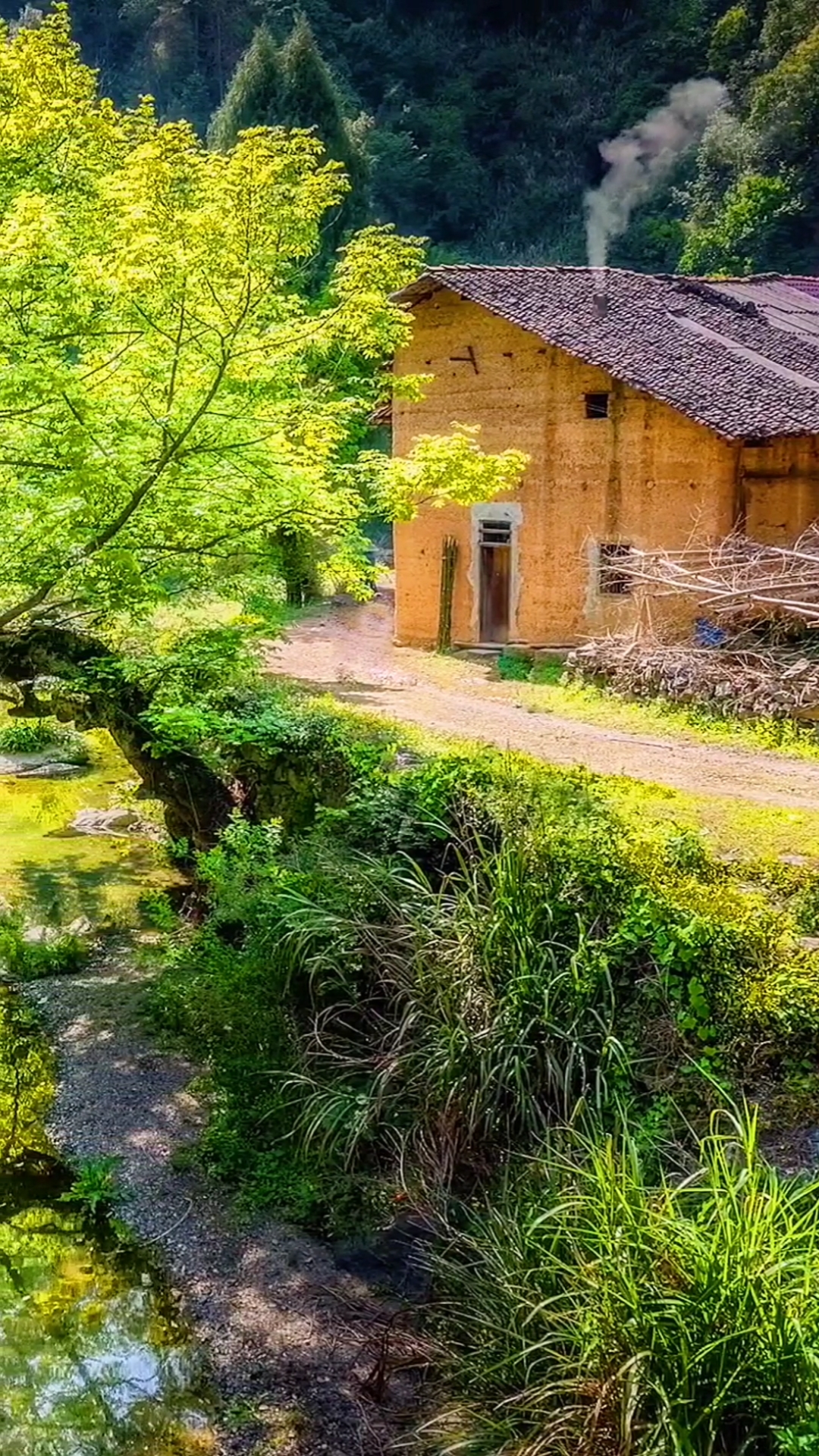 乡村生活真实的乡村风光虽然很冷清但是很适合居住