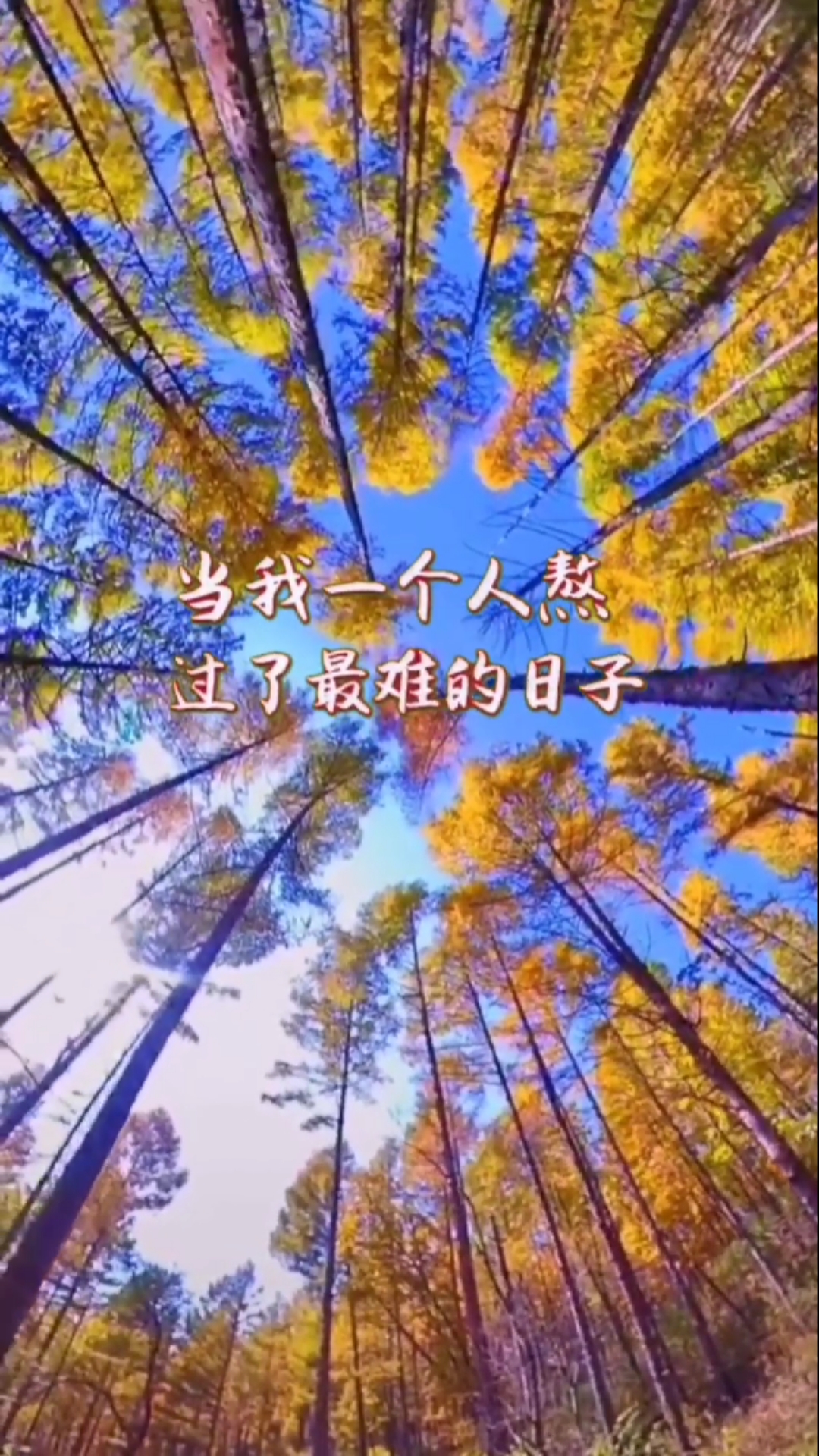 扎心情感语录#当我一个人熬过了最难的日子,就不想找任何依靠了.