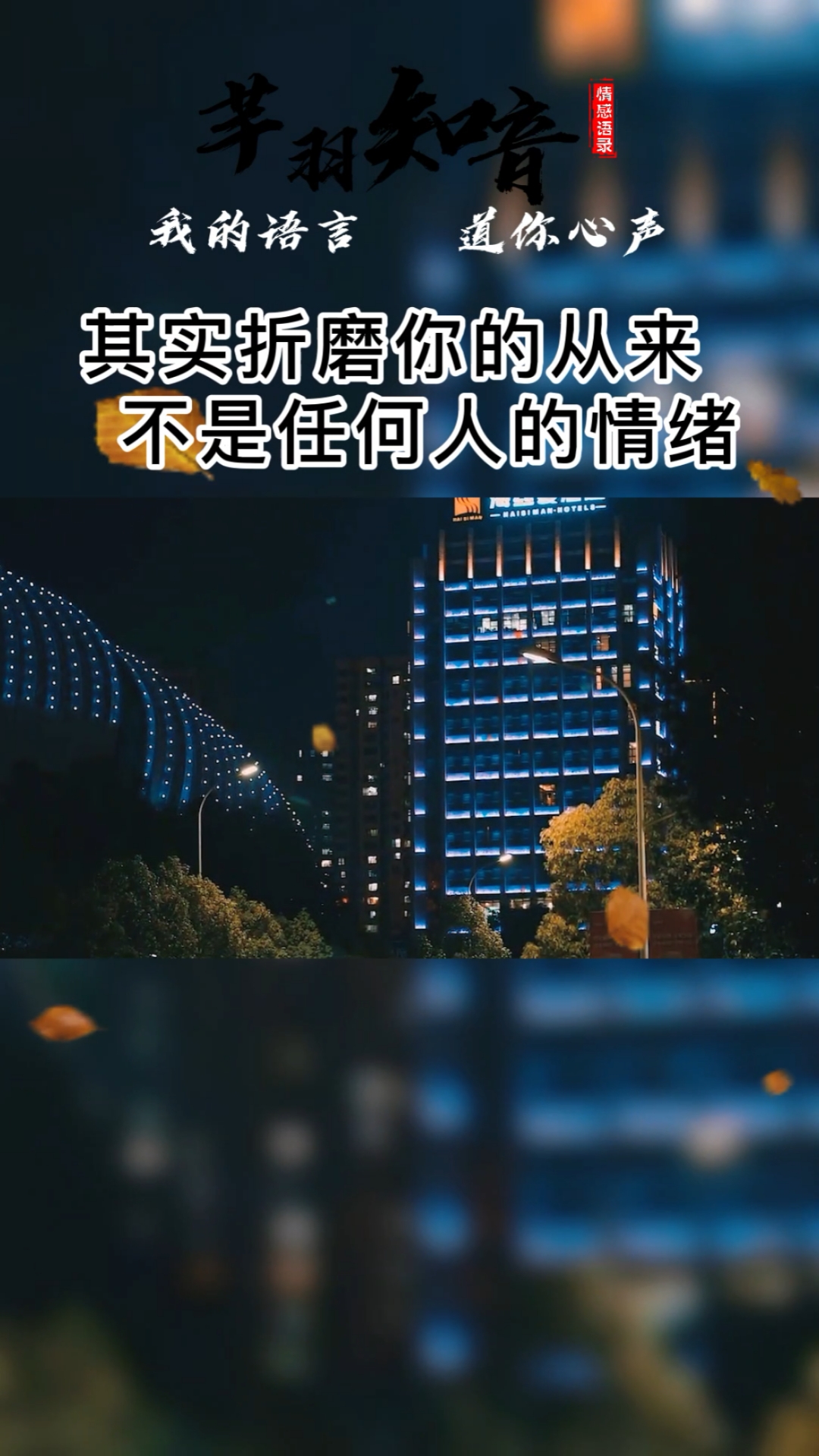 情感其实折磨你的从来不是任何人的情绪而是你心存幻想的期待世间万物