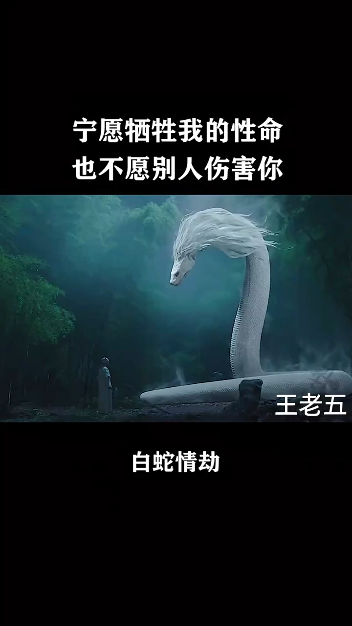 宁愿牺牲我的性命也不愿别人伤害你白蛇情劫