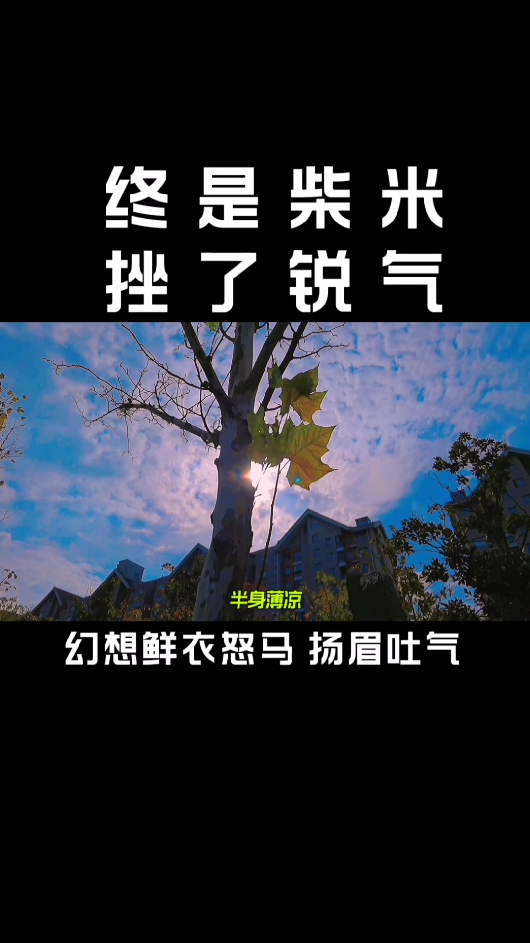 扎心情感语录四旬已过半生薄凉终是柴米挫了锐气染了风霜