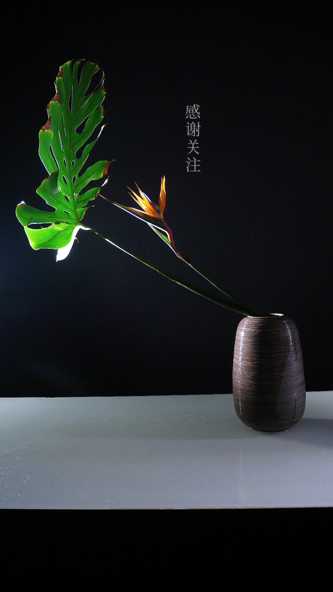 插花艺术#东方自然风自由式插花-度小视