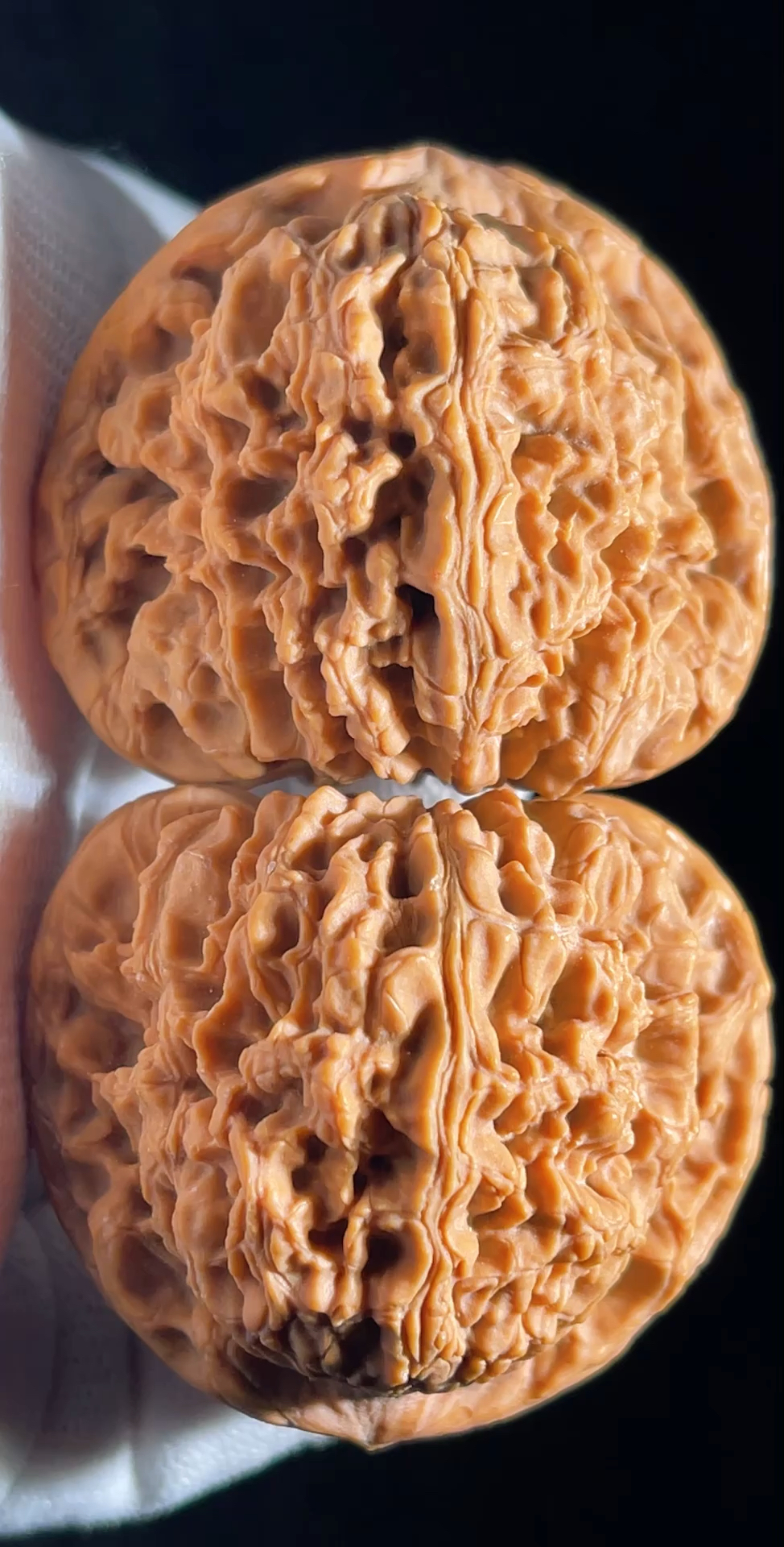 文玩核桃#45南疆石,边肚同尺.太牛了.