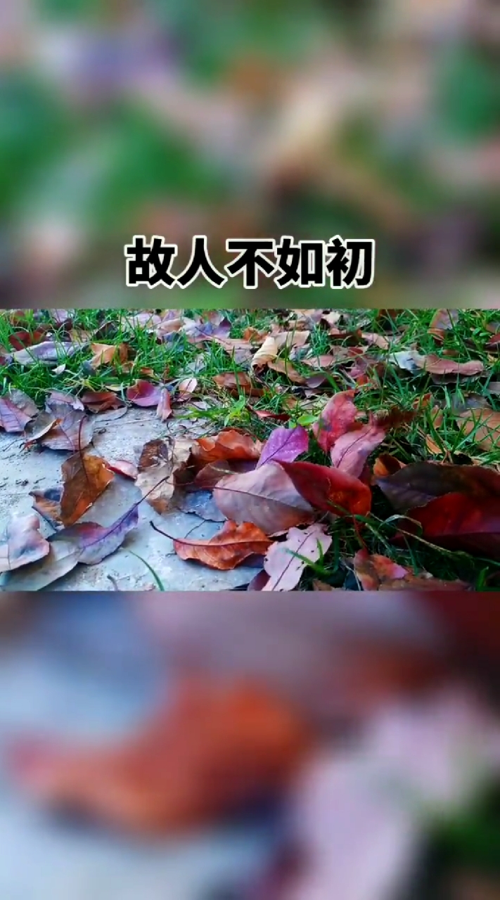 扎心情感语录#岁月不堪数,故人不如初.