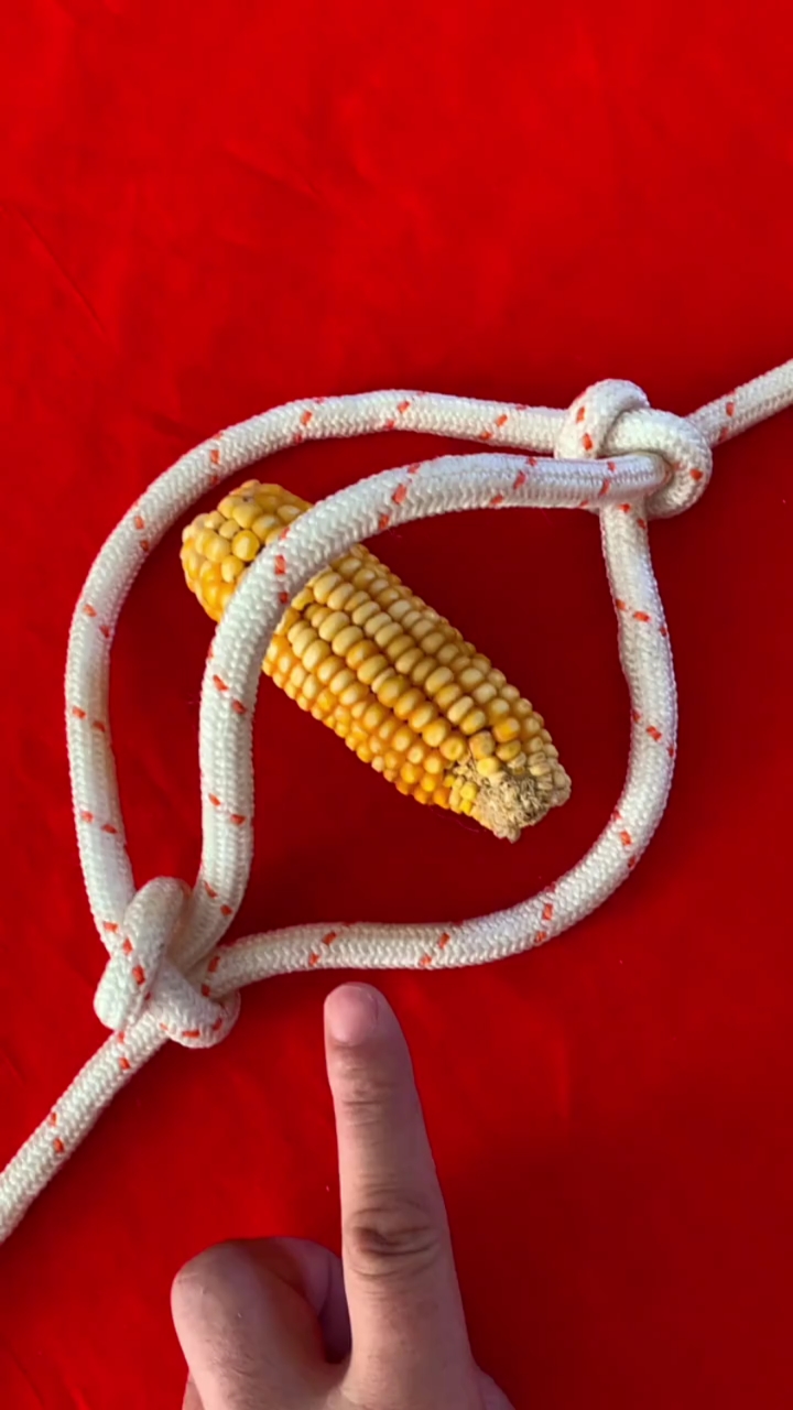 单绳牛笼头快速打结方法