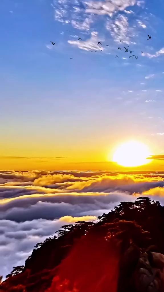 雾很厚很浓,似汹涌波涛,太阳终于甩开云彩的追逐,踏在了群山云海之上.