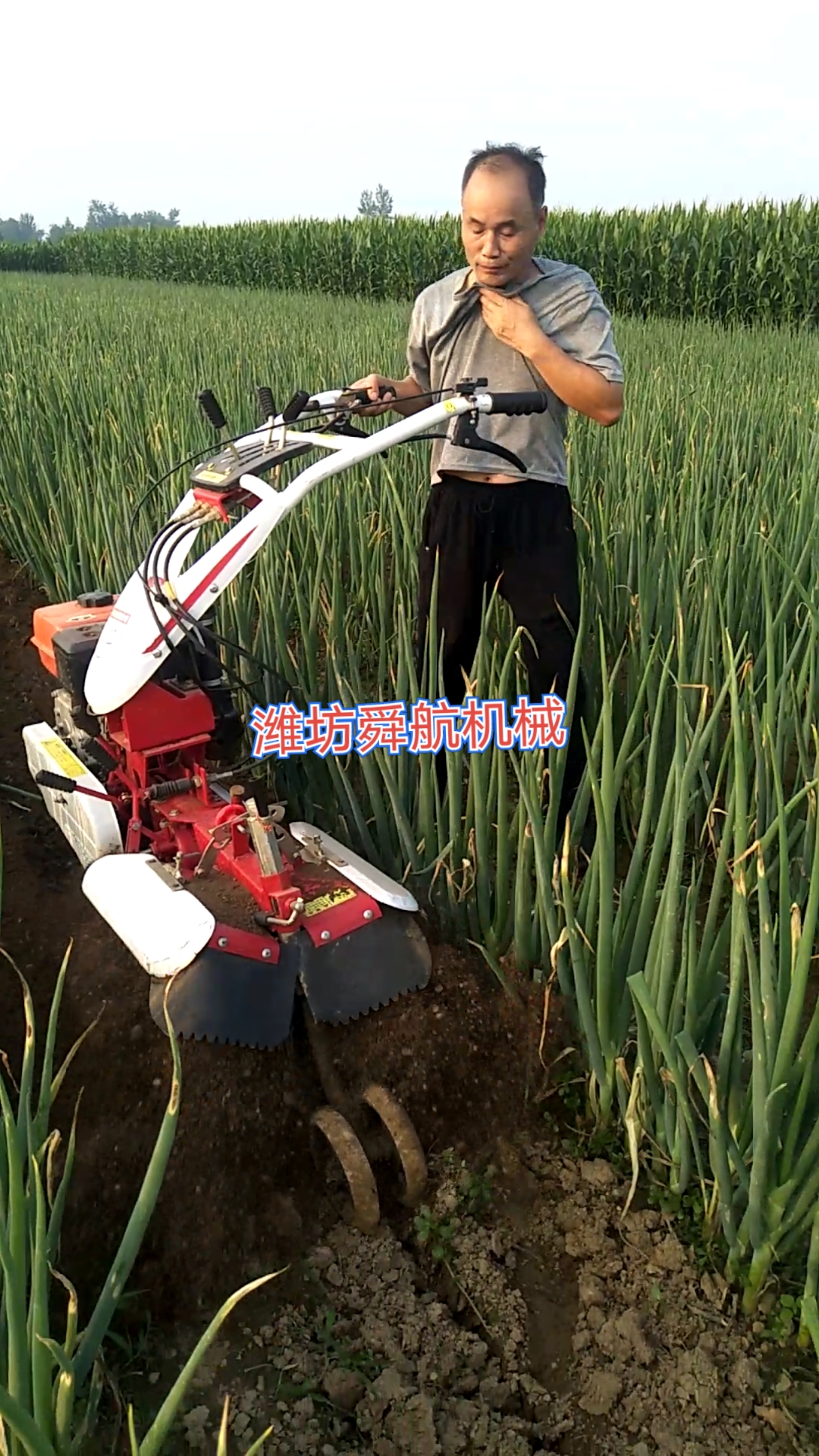 大葱培土机#大葱开沟培土机,新款田园管理机,开沟机.四驱微耕机