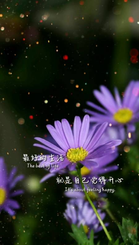 最好的生活就是自己觉得开心有些事情一笑而过就好