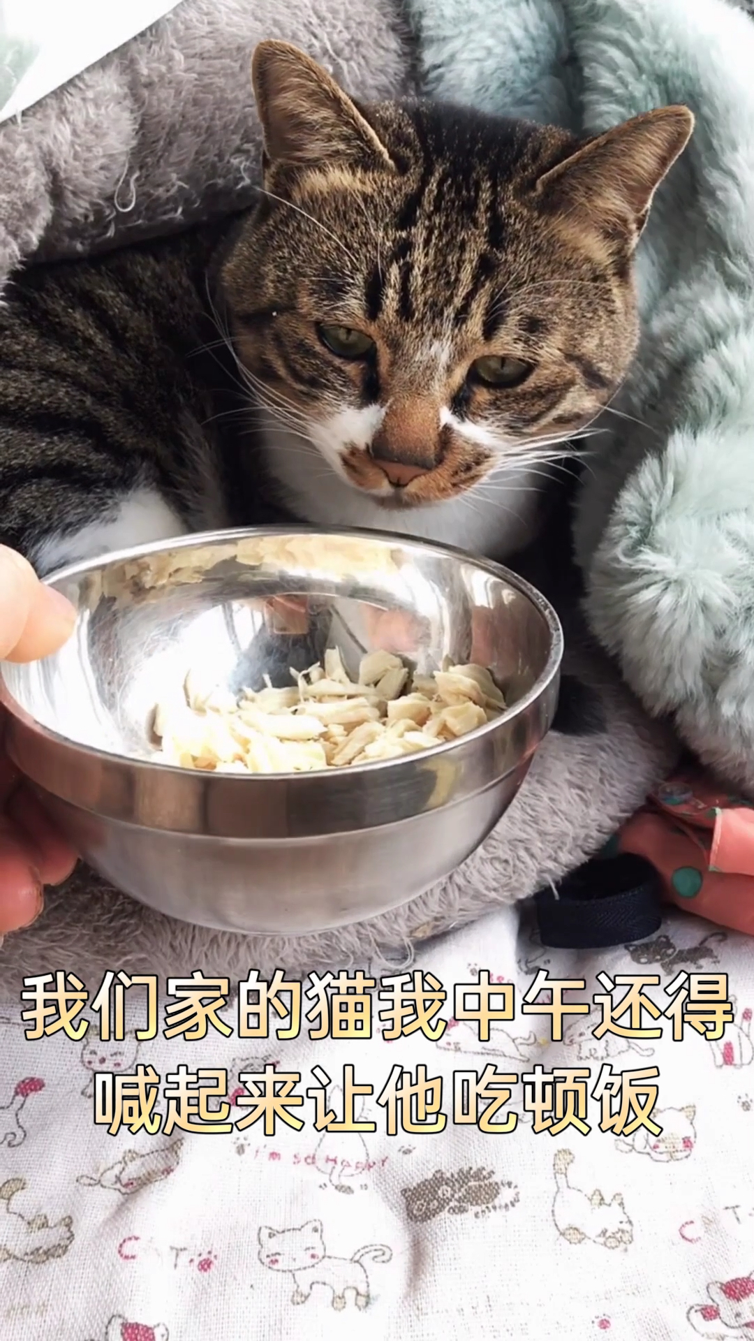 家有萌宠#每天都有人叫你起床吃饭,多幸福啊