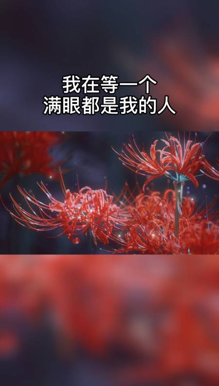 我在等一个满眼都是我的人,一个能陪我走很久很久的人-度小视