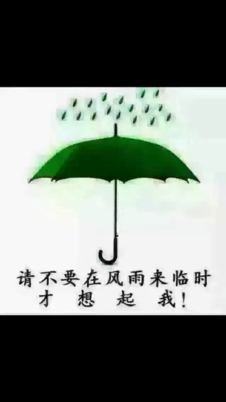 遮风挡雨