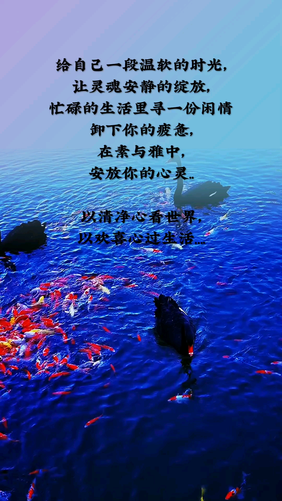 今日份开心#以清净心看世界,以欢喜心过日子