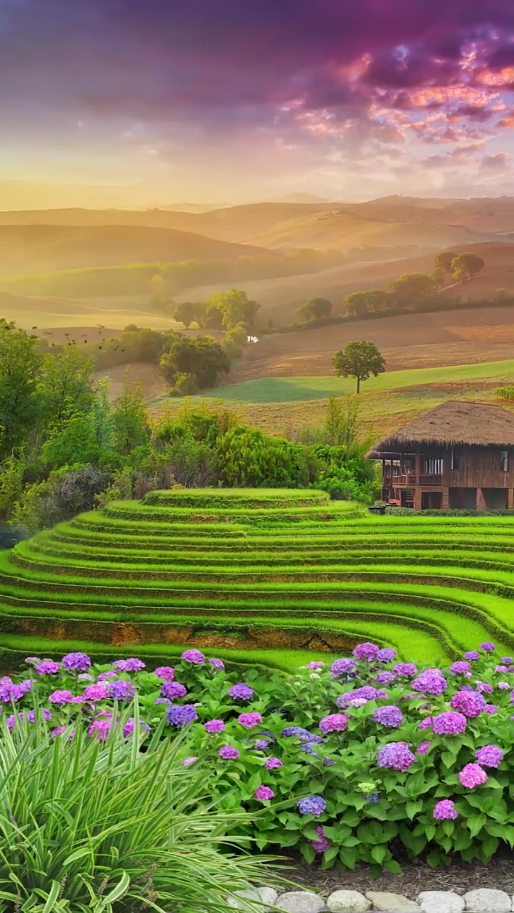 唯美意境#远离城市喧嚣,几亩良田,小酒清茶,享受田园生活的美好,邪膊