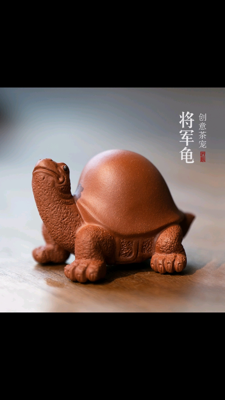不一样的人生#将军龟茶宠摆件