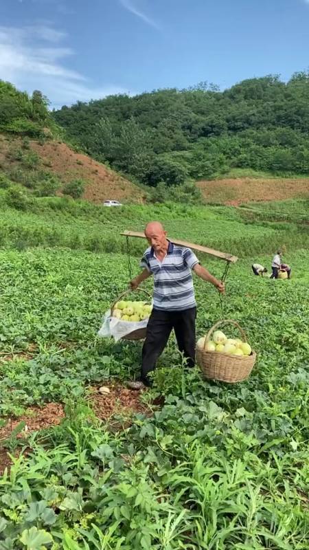 农民干活非常的辛苦,非常的累.如果不信,你回家试试.