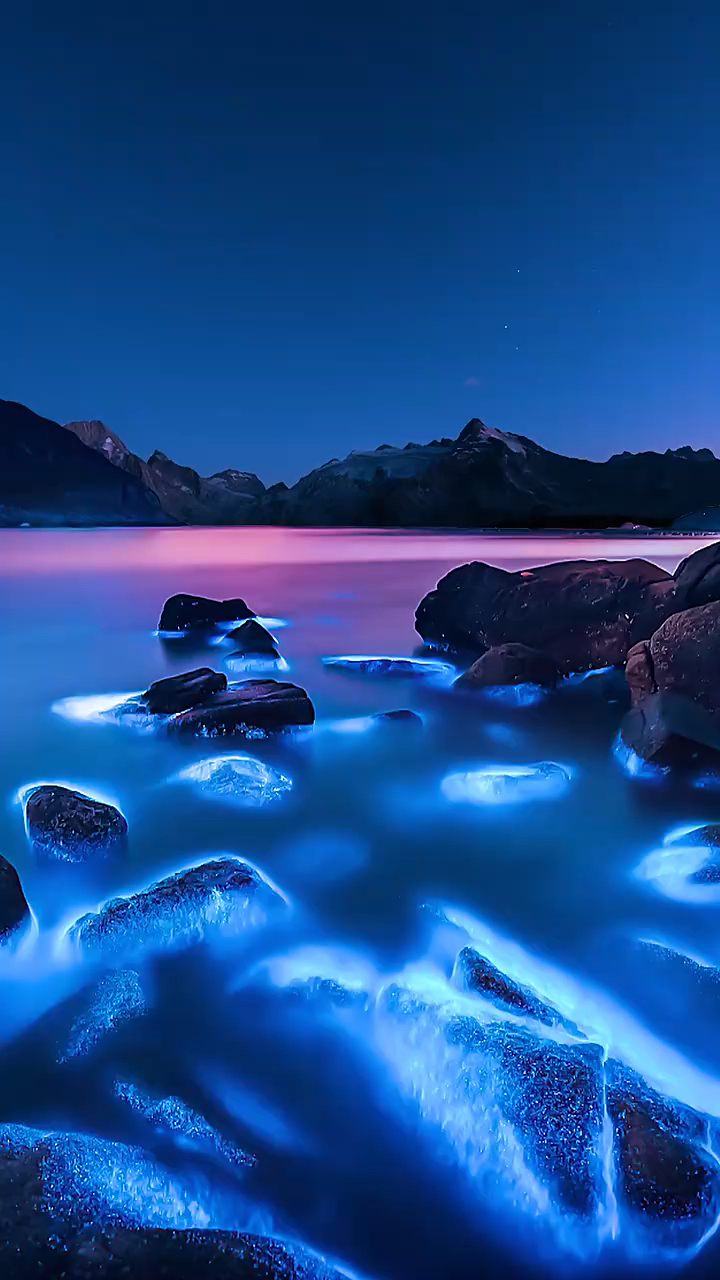 最美的风景#厦门蓝眼泪,浪漫却短暂,和你喜欢的人一起去看吧
