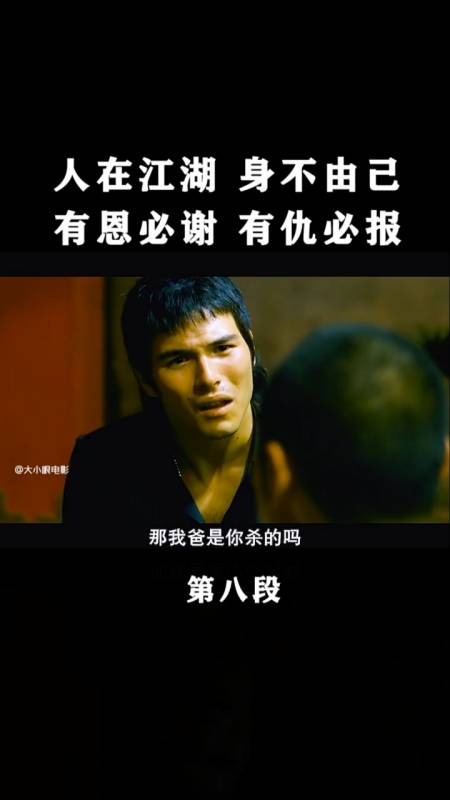 人在江湖身不由己,有恩必谢有仇必报-度小视