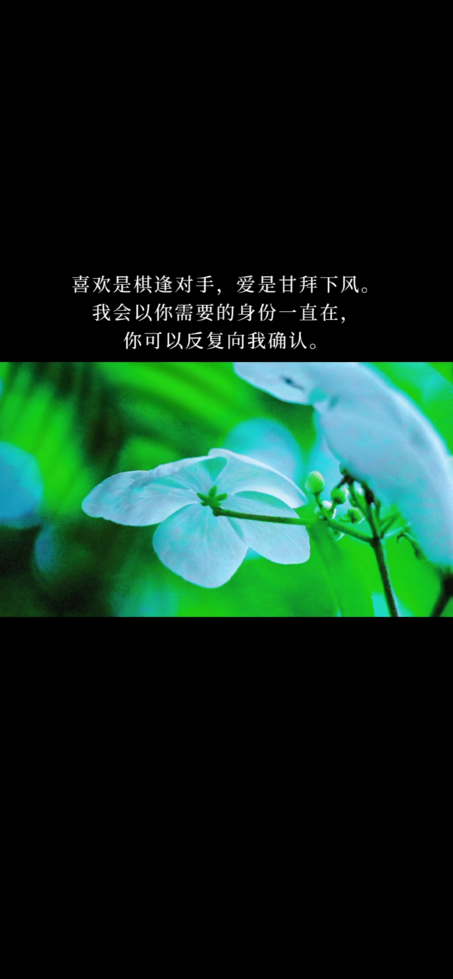 念梦人#喜欢是棋逢对手,爱是甘拜下风.