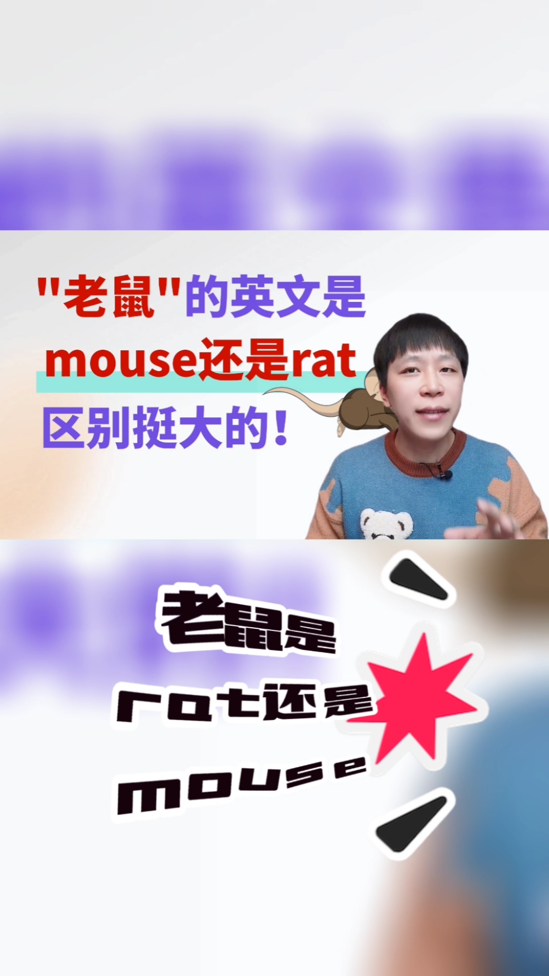 英语老鼠到底是rat还是mouse