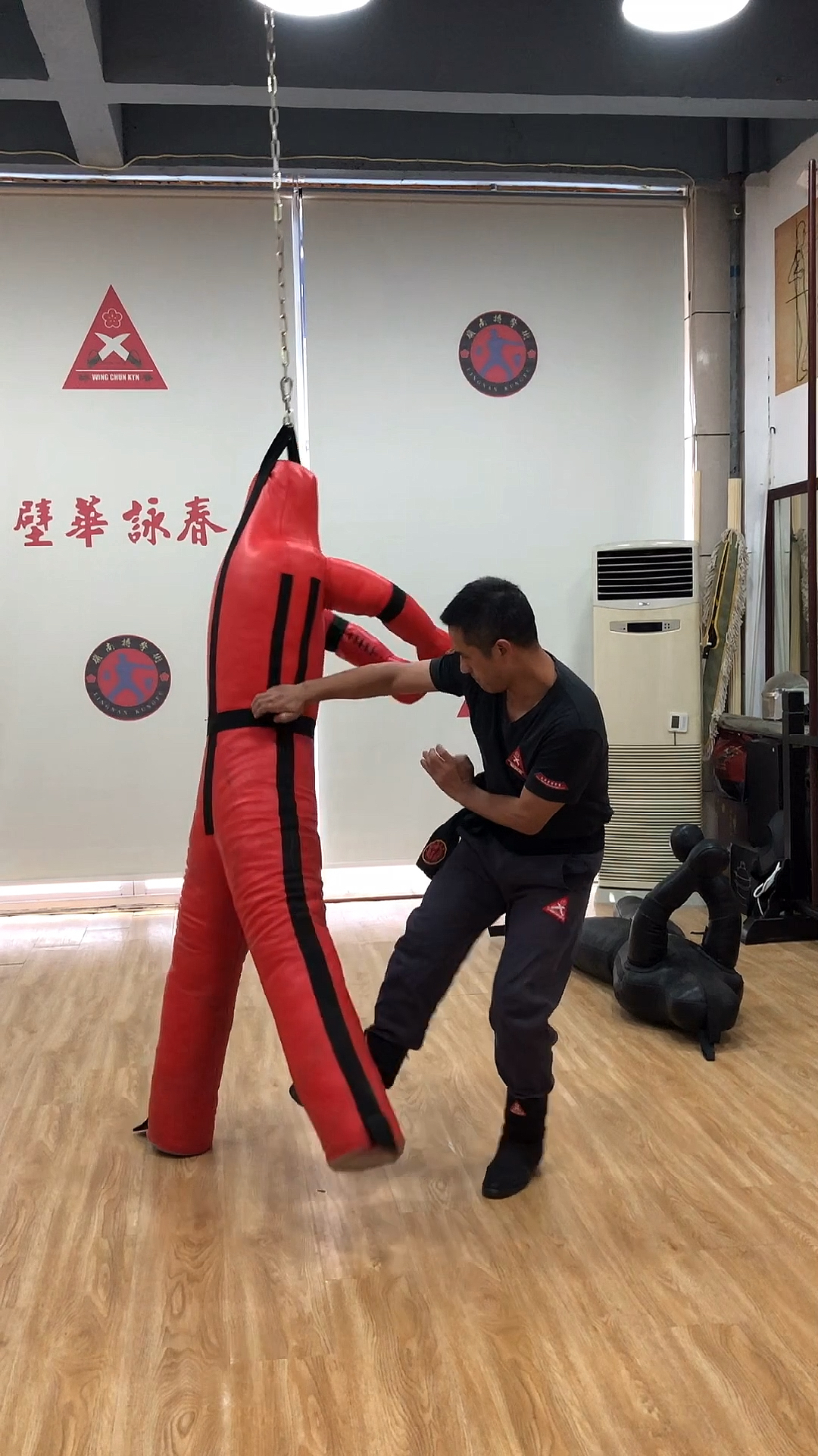 中华功夫#咏春拳实战术