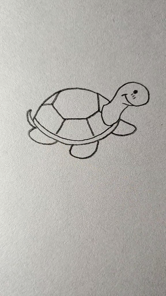 简笔画这样画乌龟超简单你学会了吗