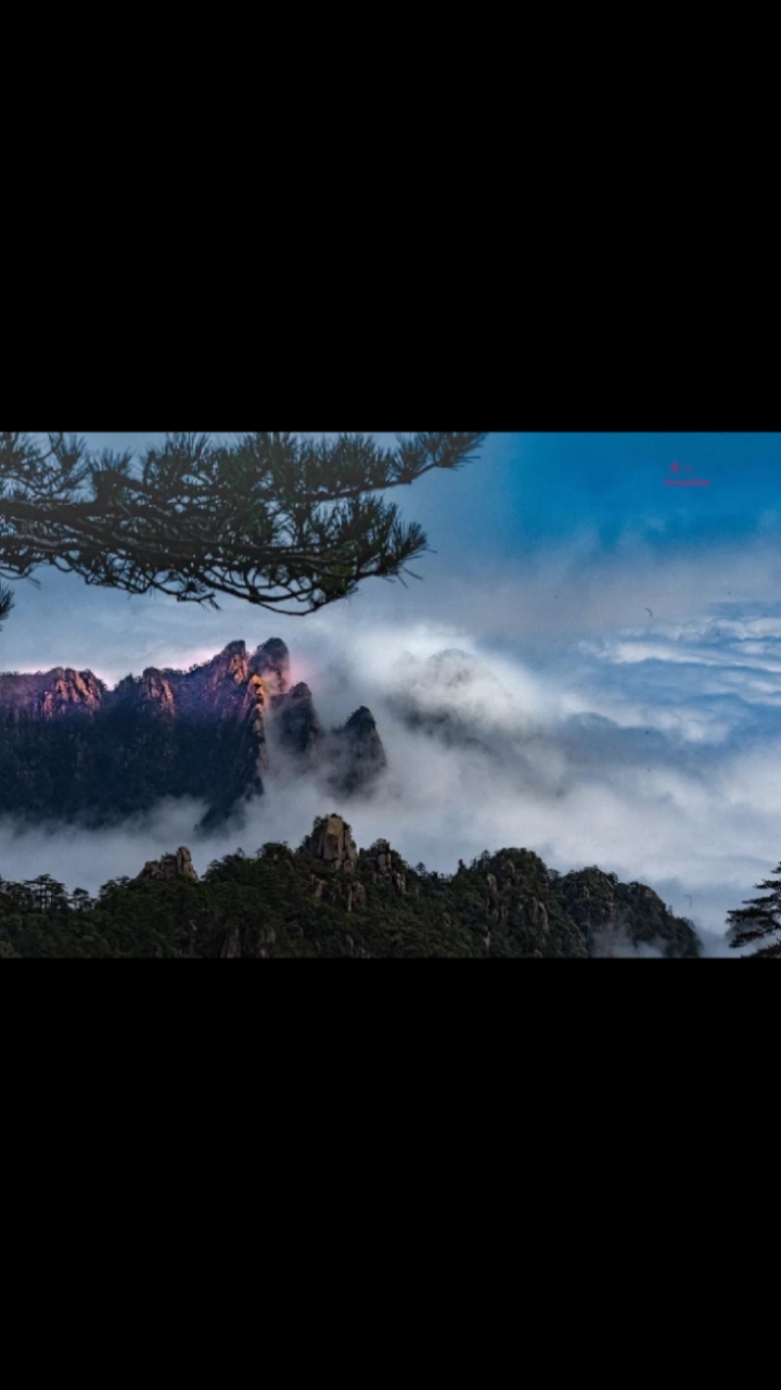 全民颜选#黄山雾海尽眼观,游览美景心怡然