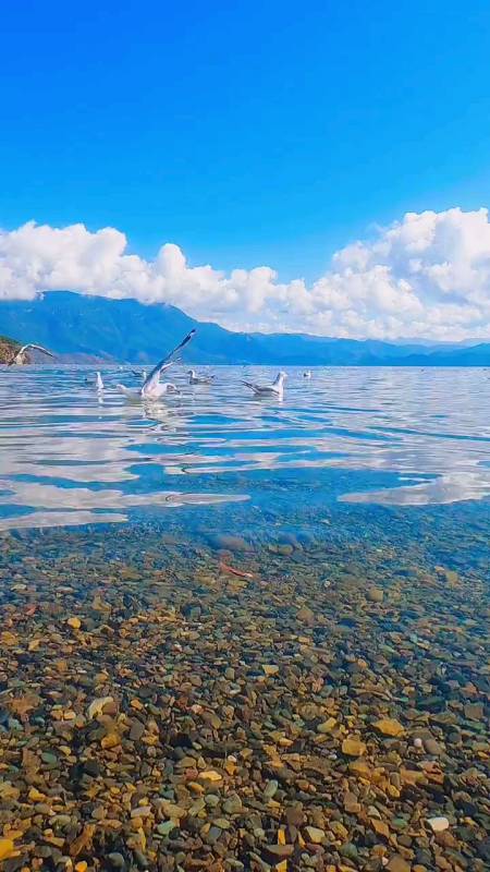 色翠绿如画想用一句话形容你"你任何为人称道的美丽不及他第一次遇见