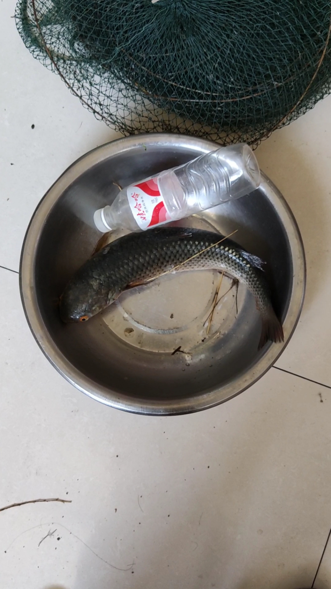 还是到窄河段钓梭鱼,探钓,野钓,游钓,试钓,抛竿垂钓