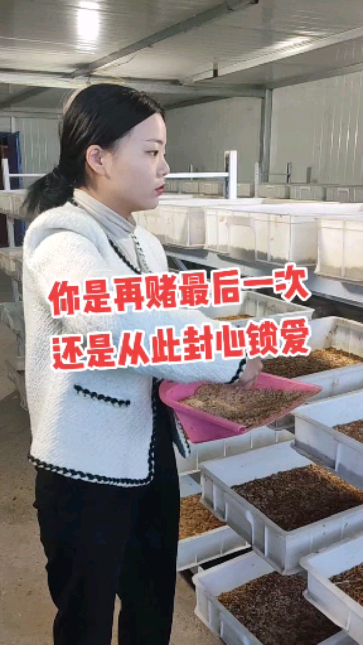 再赌最后一次,再赌最后一个人,赌赢了幸福一辈子,赌输了孤独一生,从此