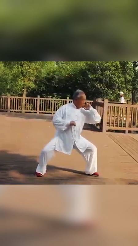 八极拳神枪李书文之孙李志成先生演练的八极拳小架