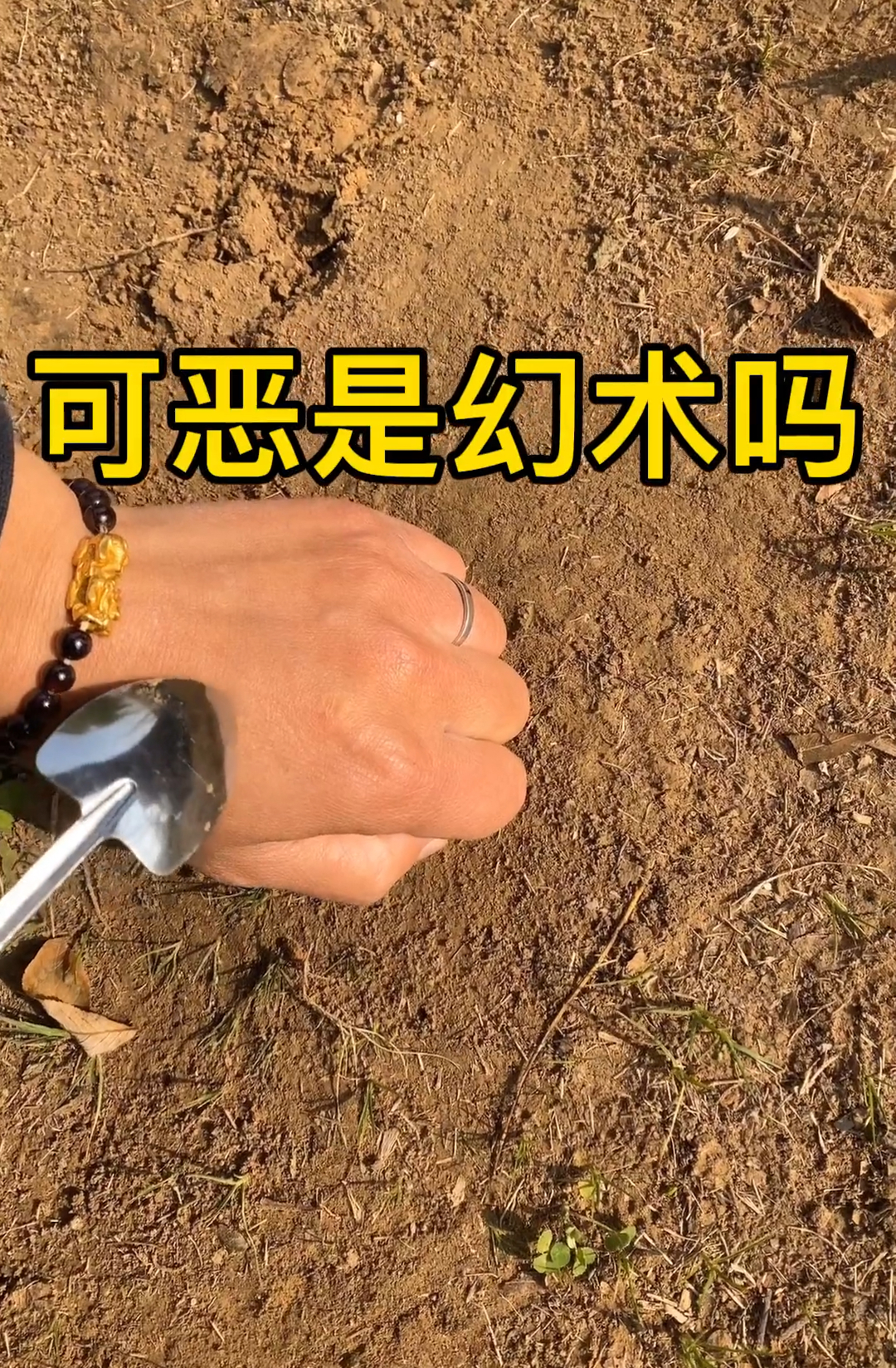 幻术#你看到的真实吗?