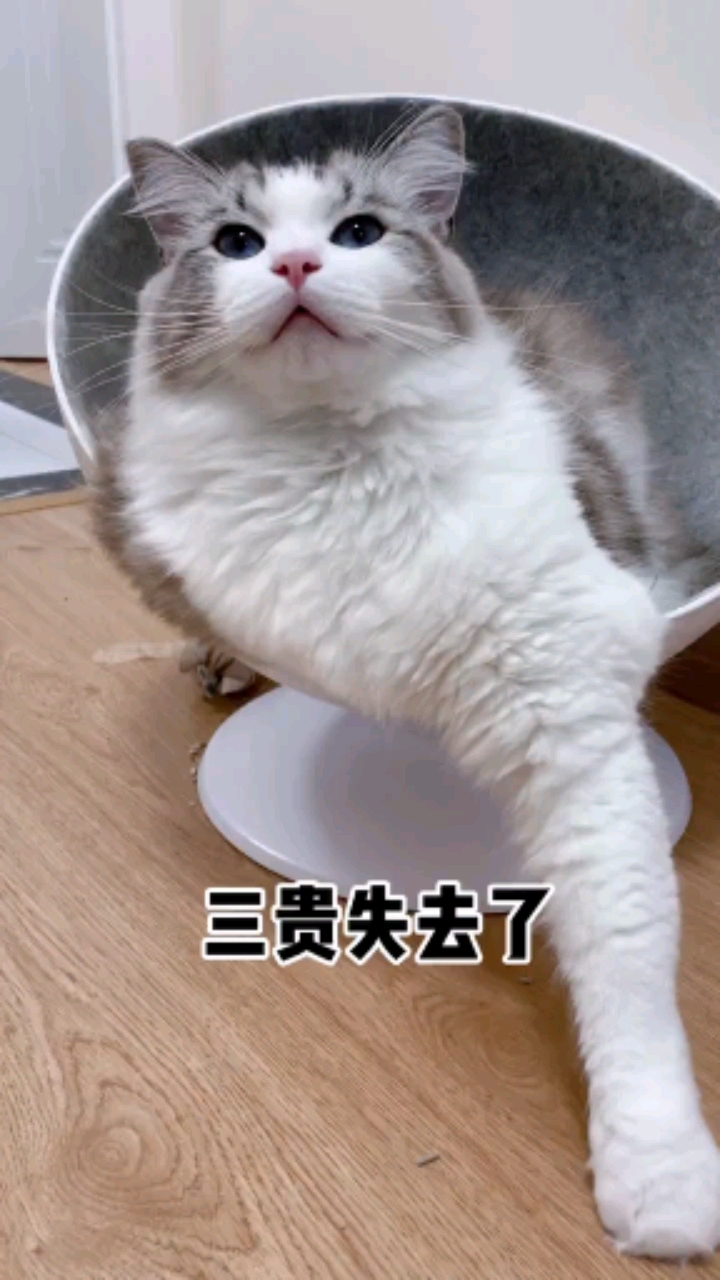 意外来得太突然了,相信一切都会好起来的