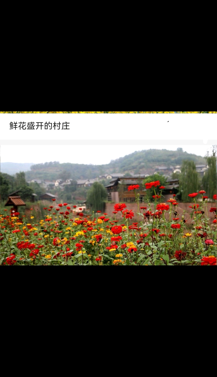 高音萨克斯朝鲜电影《鲜花盛开的村庄》(插曲)
