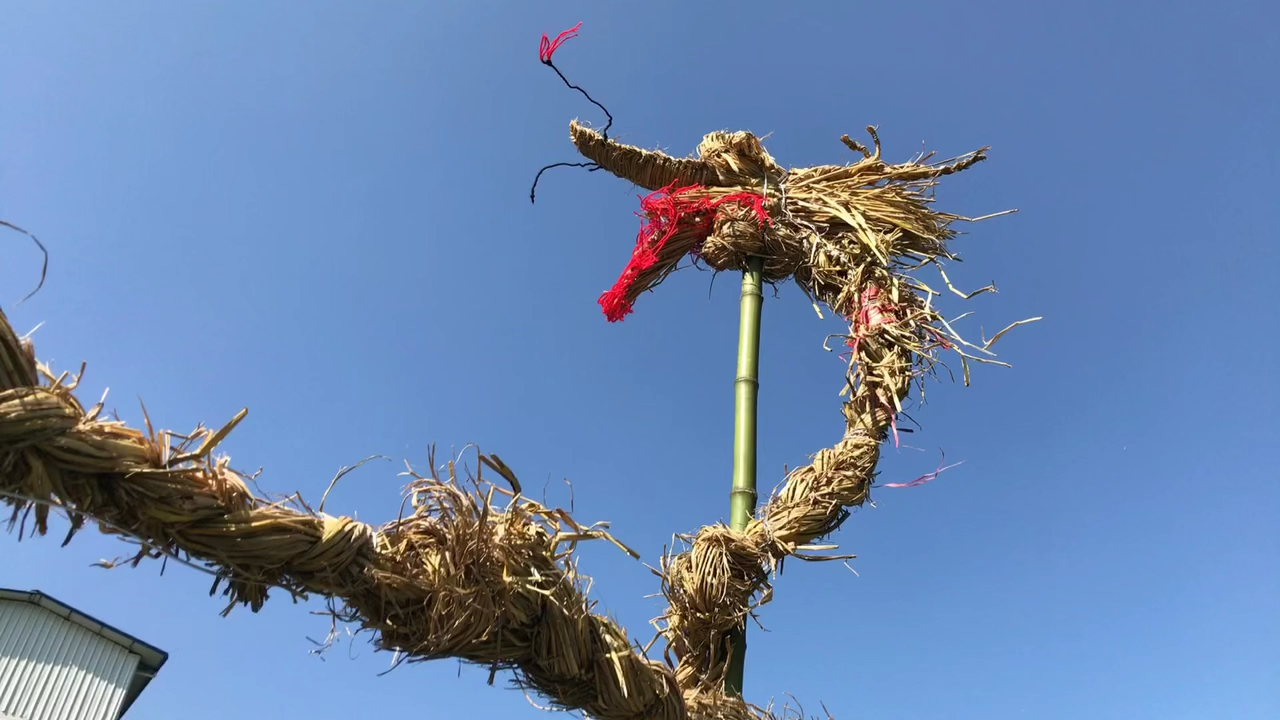 衡阳稻草龙图片