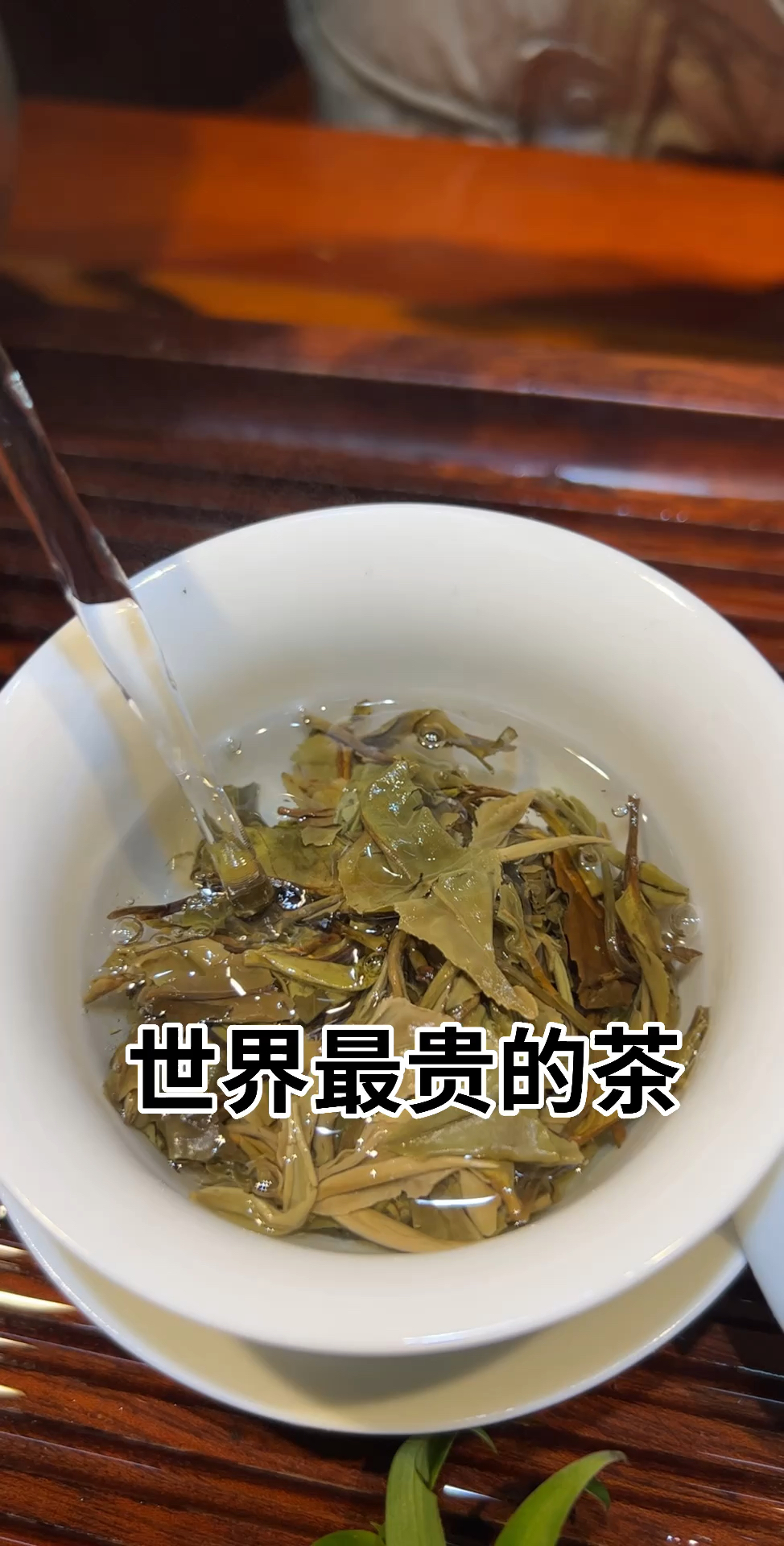 世界最貴的茶