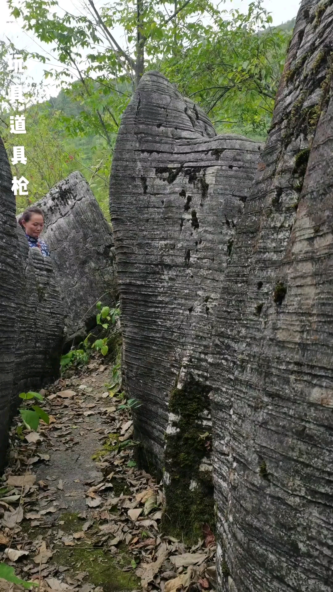 乌龙山剿匪记,榜爷是怎么死的知道吗?-度小视